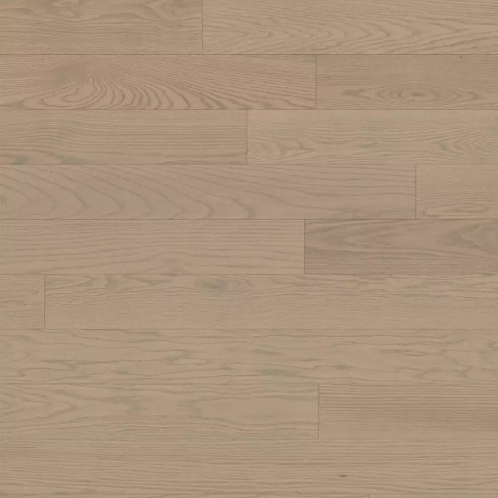 Beige – Subtle Taupe