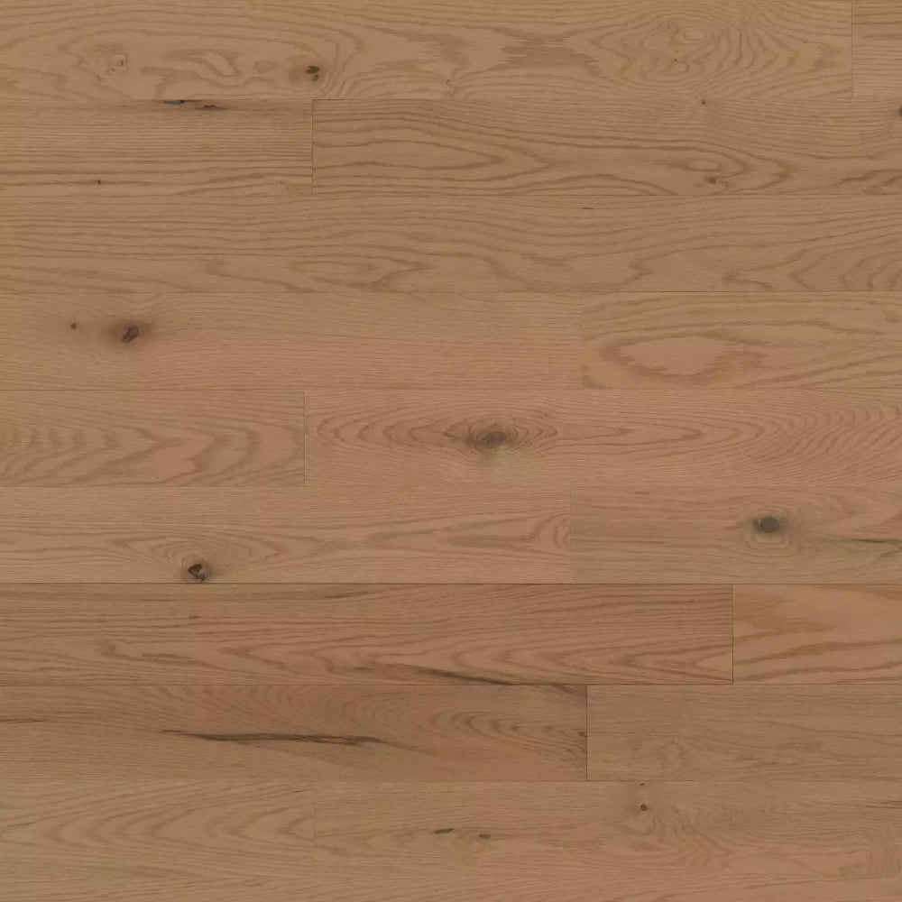 Light Brown – Honey